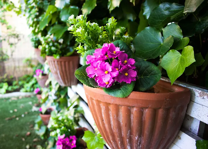 Hotell Loretta & Dependance 3*