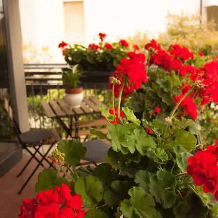 Hotel Loretta&dependance