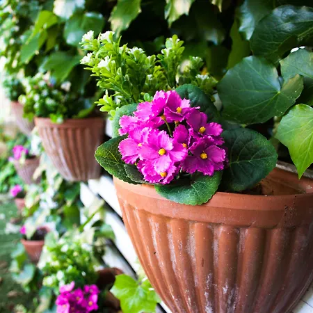 Hotel Loretta & Dependance 3*