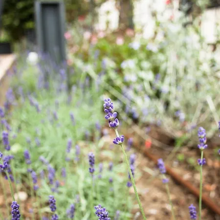 Loretta&dependance Cervia