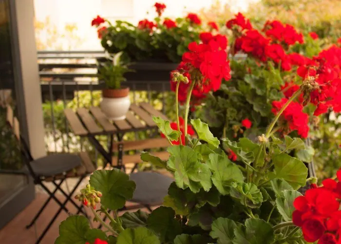 מלון Loretta & Dependance