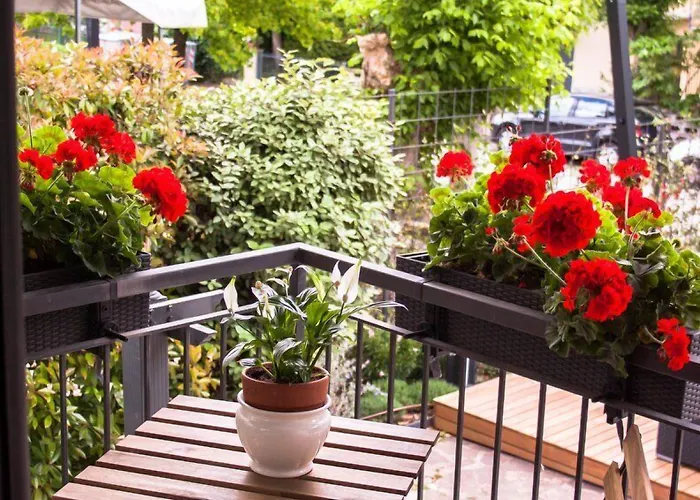 Loretta & Dependance 酒店 切尔维亚